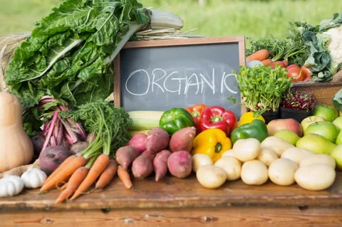 How Organic Zimbabwean Food Supports Cancer Recovery